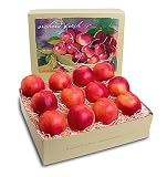Scarlet Nectarines