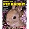 learn about how to take care of your Rabbit!