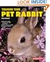 Training Your Pet Rabbit