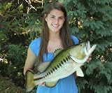 Giant Taxidermy 24 Fiberglass Large Mouth Bass Mount