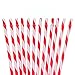 Dakoufish 12 Piece 9 Inch Reusable Plastic Thick Drinking Straws BPA Free Mason Jar Straws Big Stripe (9inch Red)