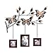 Accent Plus Butterfly Frames Wall Décor 22.5x1.5x23