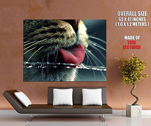 Cat Licking Water Flow Tongue Animal Print POSTER GIGANTIC SIZE 63x47 inches (160x120 cm) - made of 2 sections