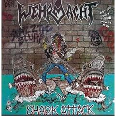 Shark Attack
