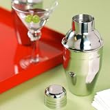 Mini Stainless Cocktail Shaker
