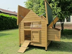 Coops Imperial Marlborough Large Chicken Coop Suitable For up 6 ...