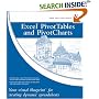 Excel Pivot Tables and Pivot Charts: Your Visual Blueprint for Creating Dynamic Spreadsheets (Visual Blueprint)