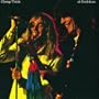 At Budokan [Vinyl]