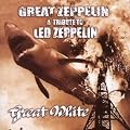 A Tribute to Led Zeppelin