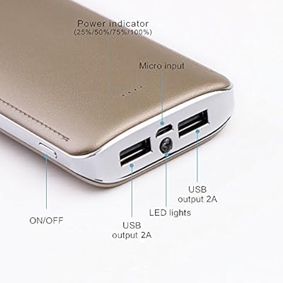 UIMI U8 Power Bank with Torch External Battery Pack With LED Torch 15600 mAh (Gold) 