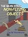 The Bean Straw: Non-Flying Objects