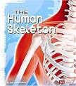 The Human Skeleton (Anatomy Class) (Paperback)