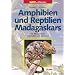 Amphibien und Reptilien Madagaskars, der Maskarenen, Seychellen und Komoren