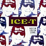 GOTTA LOTTA LOVE CD UK VIRGIN 1994
