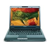 Toshiba Satellite U405D-S2848 13.3-inch Laptop (2.0 GHz AMD Turion X2 Dual Core RM-70 Processor, 3 GB RAM, 250 GB Hard Drive, DVD Drive, Vista Premium) Fusion
