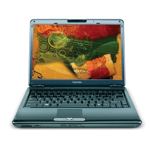 Toshiba Satellite U405D-S2848 13.3-inch Laptop (2.0 GHz AMD Turion X2 Dual Core RM-70 Processor, 3 GB RAM, 250 GB Hard Drive, DVD Drive, Vista Premium) Fusion