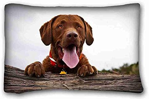 Custom ( Animals dog friend view ) Pillowcase Cushion Cover Design Standard Size 20x30 inches One Sides suitable for Twin-bed PC-White-31397
