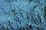Zink Color Bare Mineral Pigment Eye Shadow Emerald Green