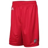 Portland Trail Blazers Red Large Logo Mesh Shorts
