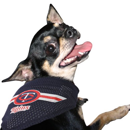 Minnesota Twins Navy Blue Small Pet Bandana - (Small/Medium)