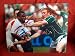 Sean Cronin Autographed Ireland Rugby 8x10 Photo, COA Guaranteeing the Authenticity of This Item.