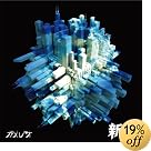 新宿(初回生産限定盤)(DVD付)(近日発売 予約可)