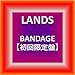 BANDAGE初回限定盤 