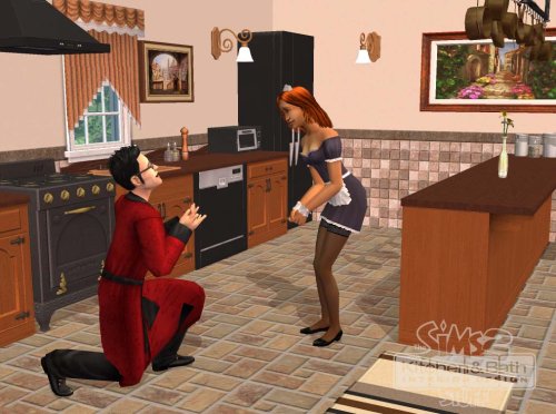 Die Sims 2 - Küchen- und Bad-Einrichtungs-Accessoires (Add-On)