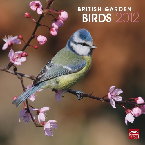 British Garden Birds 2012 Wall Calendar