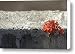 innocence Canvas Print / Canvas Art - Artist Amol Kale