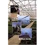 The Polytunnel Companion