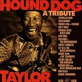 Hound Dog Taylor: Tribute