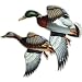 Rivers Edge Products Duck's Auto Magnet