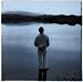 Luka bloom, Turf