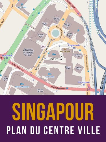 Singapour : plan du centre ville (Downtown Core) (French Edition)