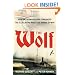 The Wolf: How One German Raider Terrorized the Allies in the Most Epic Voyage of WWI