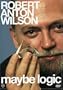 Robert Anton Wilson - Maybe Logic