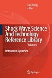 Shock Waves Science and Technology Library, Vol. 6: Detonation Dynamics (Shock Wave Science and Technology Reference Library)