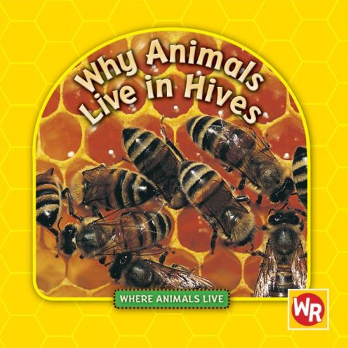 Steven Weber