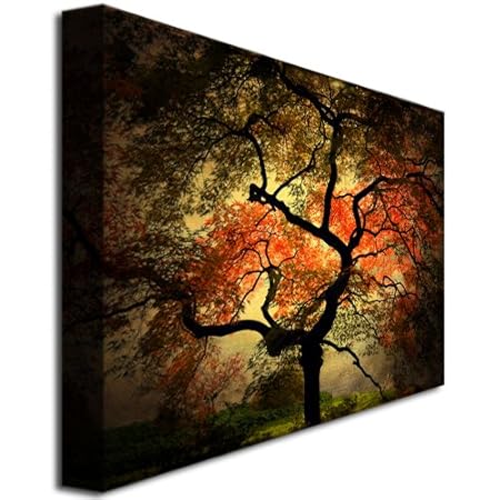 Buy Philippe Sainte-Laudy 'Japanese' Canvas Art at an everyday discount price