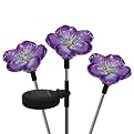 Solar Garden Violets - Set of 3
