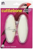 Prevue Pet Products BPV1142 2-Pack 4-Inch Bird Cuttlebone, Small
