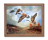 Canadian Geese Lake Marsh Home Decor Wall Picture Oak Framed Art Print