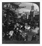 Historic Print (L): Cattle Fair, the great market day, N. on Main Street, Kanturk, County Cork, Ireland