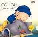 Donde Esta? (Where Is It?) (Caillou Escondite (Peek-a-Boo))