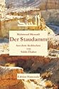 Der Staudamm