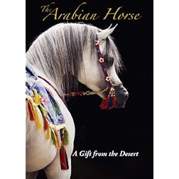 The Arabian Horse A Gift from the Desert