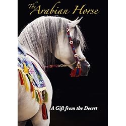The Arabian Horse A Gift from the Desert
