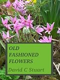 OLD FASHIONED FLOWERS