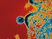 AIDS Virus Budding from a T-Lymphocyte Photographic Poster Print, 16x12